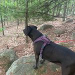 Bill Crabb - @crabb9675 - Instagram