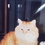 Bill Crabill - Facebook