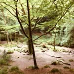 Will Craddock - @will.craddock - Instagram