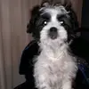 bill - @billcraft56 - TikTok