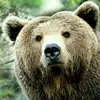 Bill Craft - @bill.craft - TikTok