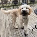 Bill Craft - @mocrapp - Instagram