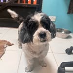 Bill Crawley - @billc1204 - Instagram