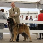 Bill Crawley - @dogbill87 - Instagram