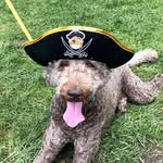 Bill Creager - @bill.creager - Instagram