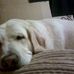 William Creager - Facebook