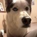 Bill Cress - Facebook
