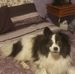 Bill Criswell - Facebook