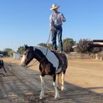 Bill Crites - @billcrites22 - Instagram
