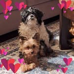 Bill Crossfield - @williamcrossfield - Instagram