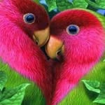 Bill Crow - @crow_bill - Instagram