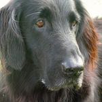 Bill Crowder - @crowder5631 - Instagram