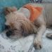 Billy Cubbage - Facebook