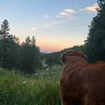 Billy Cundiff - @billycundiff_ - Instagram
