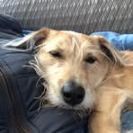 Bill Cunniff - Facebook