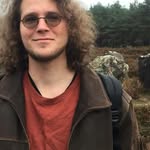Billie Mo Kusters - @mr_curlesss - Instagram