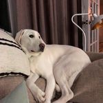 Bill Cuthbertson - @bill_cuthbertson - Instagram