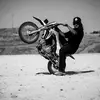 THE BillyBadass - @billydrakecyruss - TikTok