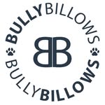 @bullybillowsczechia - Instagram