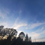 Billem Dafoe - @billemdafoe - Instagram