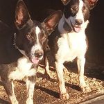 Bill Dale - @billdale4941 - Instagram