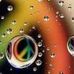 Bill Dallman - Facebook