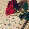 القران الكريم - @billdammet8 - TikTok