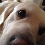Bill Damron - @billdamron - Instagram