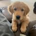 Bill Damron - Facebook