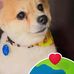 Billy Damron - Facebook