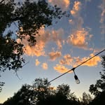 Billy - @billdanielson49 - Instagram