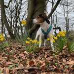 Bill - @bill_the_dansky - Instagram