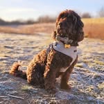 Dapper_Bill - @dapper_bill - Instagram