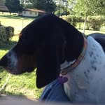 William Bill Darnell - @williambilldarnell - Instagram