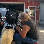 Bill Dart - @batoutdahell - Instagram