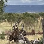Bill Dart - Facebook