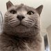 Bill Daun - Facebook