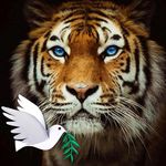 Bill Dawe - @wdawe4 - Instagram