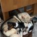 Bill Dawes - Facebook