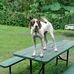 Bill Daye - Facebook