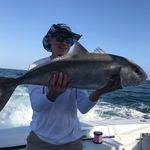 Bill Dedrick - @dedrick.bill - Instagram
