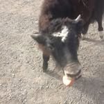 Bill Deal - @deal2003 - Instagram