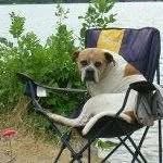 Bill Dearing - @bill.dearing.7 - Instagram