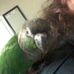 Bill Decker - Facebook