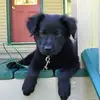 billiediehl - @billiediehl - TikTok