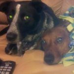 Bill Dietz - @bdtzc21 - Instagram