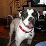 Bill Dietz - @bigbill1616 - Instagram