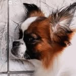 Bill - @bill_dix__ - Instagram