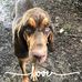 Bill Dodd - Facebook