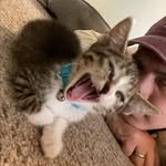 Billy Dove - @billyadove - Instagram